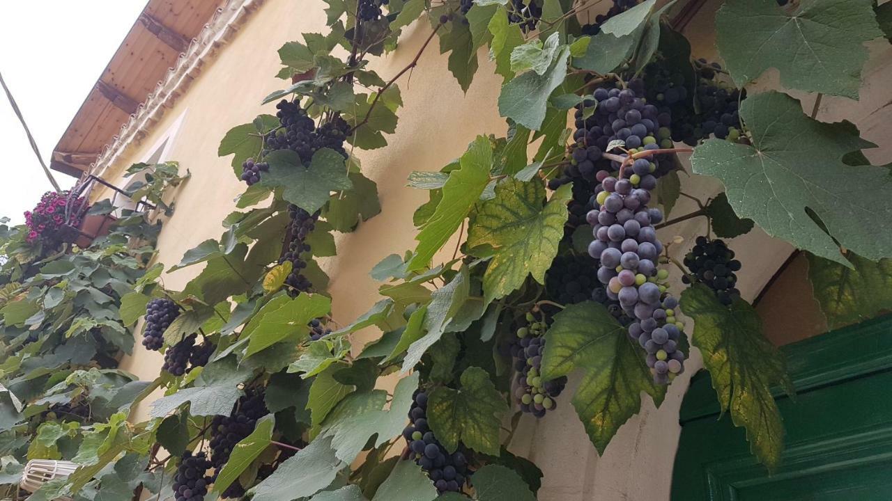 Villa Scaccia pensieri Cerchio Esterno foto